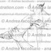 051- Muscolo Deltoide – Deltoid Muscle – Musculus Deltoideus