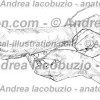 061- Muscolo Anconeo – Anconeus Muscle – Musculus Anconeus