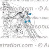 045- Nervo Ascellare – Nervus Axillaris – Axillary Nerve